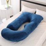 pregnancy pillow future 1